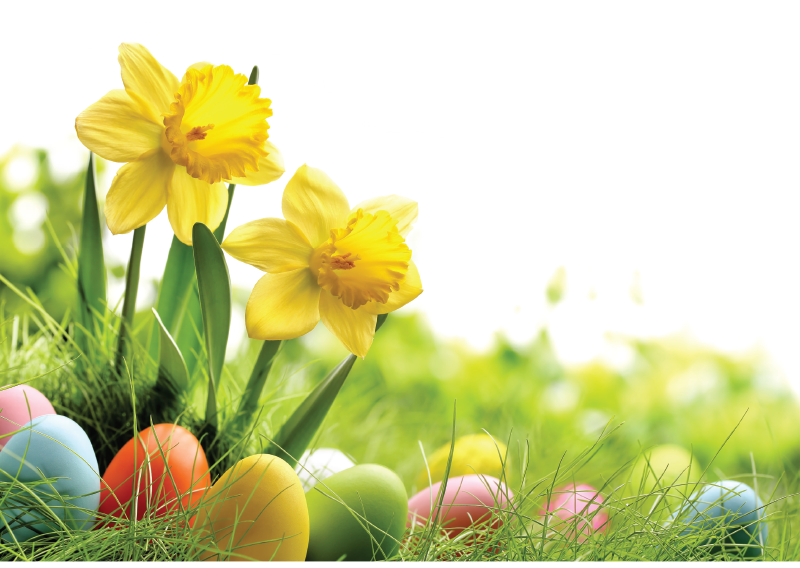 Kellemes Húsvéti Ünnepet kíván a könyvelőzóna mindenkinek!